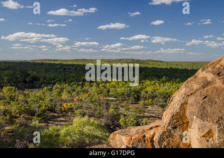 Undara Volcanic Nationalpark, Queensland, Australien. Stockfoto