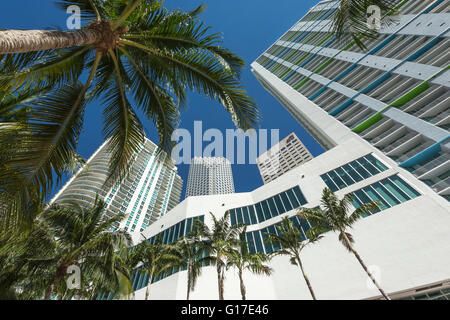 WOLKENKRATZER RIVERWALK DOWNTOWN MIAMI FLORIDA USA Stockfoto