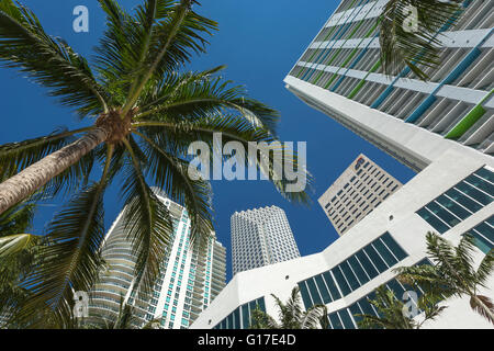 WOLKENKRATZER RIVERWALK DOWNTOWN MIAMI FLORIDA USA Stockfoto