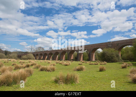 Hockley stillgelegten Eisenbahnviadukt über einem Tal in der Nähe von Winchester in Hampshire. Jetzt Teil von National Cycle route 23. Überspannt den Fluss Itchen Stockfoto