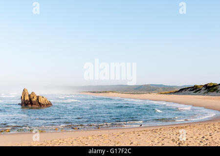 Am frühen Morgen Szene an einem Strand am Buffelskop in der Nähe von Knysna. Zwei vom Aussterben bedrohte schwarze Austernfischer. Haematopus Moquini, sichtbar sind Stockfoto