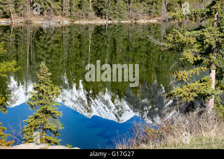 Ideale Kulisse oder Hintergrund, kanadische Schönheit in Alberta Kanada, schöne Reflexion in den klaren Seen Wasser. Kanadische Schönheit Stockfoto