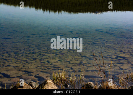 Ideale Kulisse oder Hintergrund, kanadische Schönheit in Alberta Kanada, schöne Reflexion in den klaren Seen Wasser. Kanadische Schönheit Stockfoto