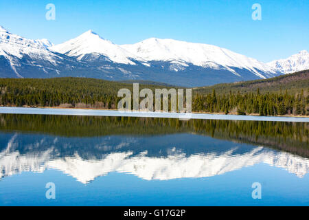 Ideale Kulisse oder Hintergrund, kanadische Schönheit in Alberta Kanada, schöne Reflexion in den klaren Seen Wasser. Kanadische Schönheit Stockfoto