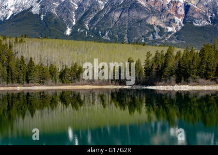 Ideale Kulisse oder Hintergrund, kanadische Schönheit in Alberta Kanada, schöne Reflexion in den klaren Seen Wasser. Kanadische Schönheit Stockfoto