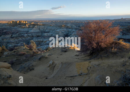 Erodierte Badlands bei Sonnenaufgang, Angel Peak NAT Recreation Area, New Mexico. Stockfoto