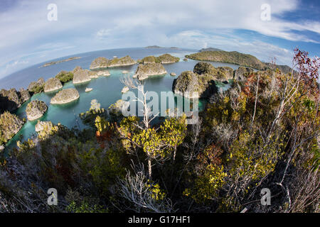 Kalksteininseln umgeben von einer entfernten Lagune in Raja Ampat, Indonesien. Diese tropischen Region ist das Herz der marinen Artenvielfalt. Stockfoto
