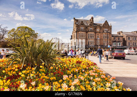 Ein Blick auf Harrogate an einem hellen Frühlingstag mit Betty es Tea Room im Hintergrund. North Yorkshire, England, Vereinigtes Königreich. Stockfoto