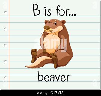 Flashcard Buchstabe B ist für Biber illustration Stock Vektor