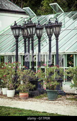 Blühende Topfpflanze und alte Lampen in der Orangerie in der Nähe des Festetics Schloss, Keszthely, Zala, Ungarn. Gartenarbeit-Thema. Schloss ein Stockfoto