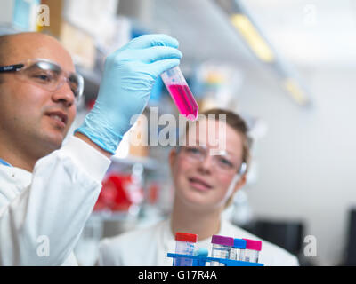 Wissenschaftler, die Medien für Parasiten Kultur in Labor, Jenner-Institut, Universität Oxford vorbereiten Stockfoto