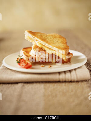 Geröstetem Käse-Sandwich mit Tomatenscheibe auf Platte Stockfoto