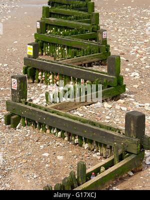 Buhnen auf Hunstanton beach-Norfolk England uk Stockfoto