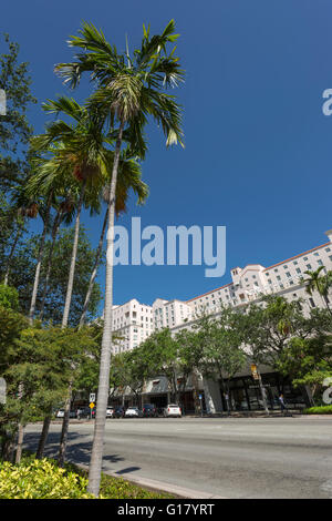 MIRACLE MILE CORAL GABLES FLORIDA USA Stockfoto