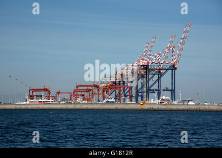 HAFEN VON KAPSTADT IN SÜDAFRIKA. Die Gantries von der Container-Hafen in Kapstadt Hafen Südliches Afrika Stockfoto