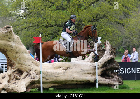 Michael Ryan (Irland) auf Ballylynch Abenteuer Reiten Cross Country am Mitsubishi Badminton Horse Trials, 7. Mai 2016 Stockfoto