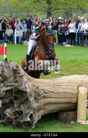 Michael Ryan (Irland) auf Ballylynch Abenteuer Reiten Cross Country am Mitsubishi Badminton Horse Trials, 7. Mai 2016 Stockfoto