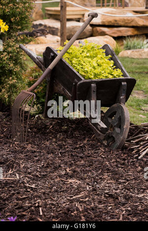 Harrogate Spring Flower Show 2016 North Yorkshire, England) - Schubkarre Pflanzer im "Tierparadies" Showgarten. Stockfoto