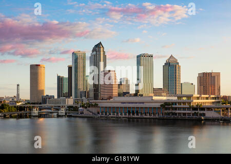 Morgendämmerung über der Skyline von Tampa, Florida, USA Stockfoto