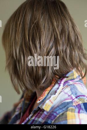 Eine Person mit einer Kornnatter. Stockfoto