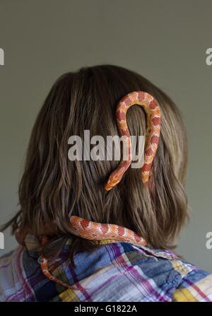 Eine Person mit einer Kornnatter. Stockfoto