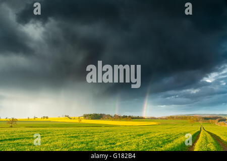 Regnerischen Wolken und ein Regenbogen über British Spring Farm Land Stockfoto