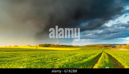 Starkregen und doppelter Regenbogen über frische grüne Feld Stockfoto