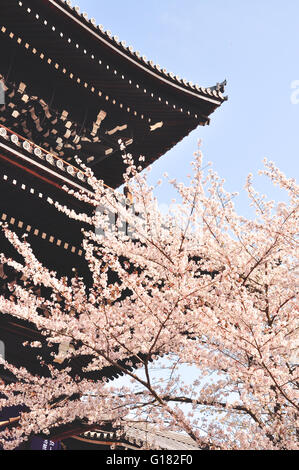 Chion-in Tempel in Kyoto, Japan Stockfoto