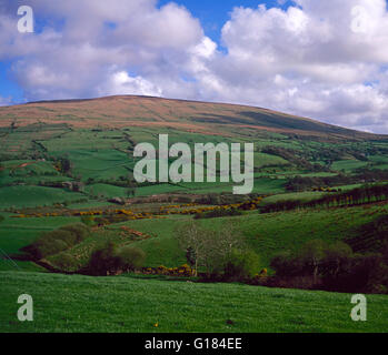 Sperrin Mountains, Grafschaft Tyrone, Nordirland Stockfoto