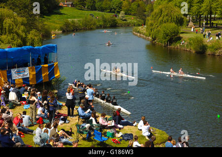 Ruderboote auf den Fluss Severn während der Regatta von Shrewsbury, Shropshire, England. Stockfoto