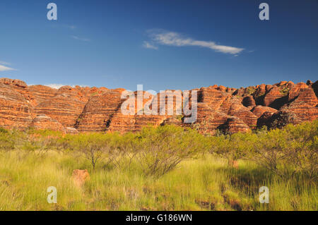 Bee Hive Formationen auf der Bungle Bungles in Western Australia Stockfoto