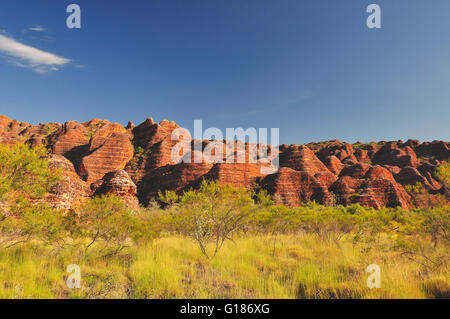 Bee Hive Formationen auf der Bungle Bungles in Western Australia Stockfoto