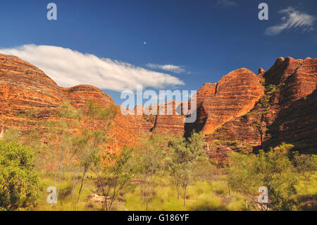 Bee Hive Formationen auf der Bungle Bungles in Western Australia Stockfoto