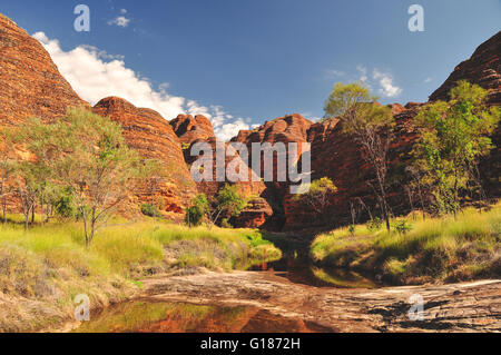 Bee Hive Formationen auf der Bungle Bungles in Western Australia Stockfoto