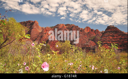 Bee Hive Formationen auf der Bungle Bungles in Western Australia Stockfoto