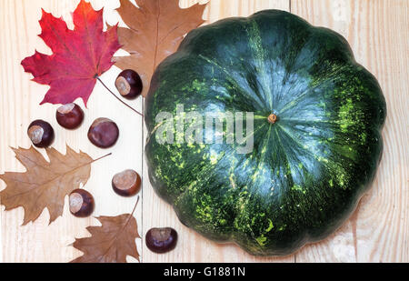 Auf der Oberfläche der Holztisch ist ein großen grünen Kürbis mit Kastanien und gelbe Blätter. Die Aussicht von oben. Stockfoto