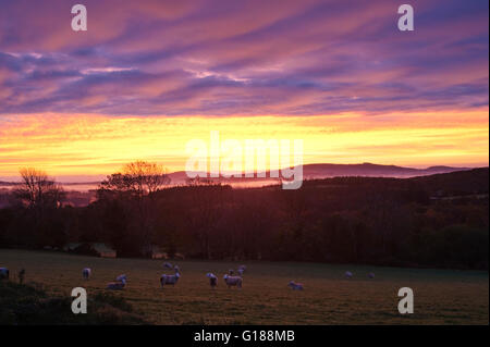 Spektakulären Sonnenaufgang im November in die Wicklow Mountains, Irland Stockfoto
