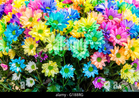 Mehrfarbige Blüten. Schöner Blumenstrauß bunte Blumen im Keukenhof. Stockfoto