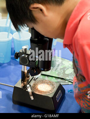 Asiatische junge Blick durch Mikroskop Science fair - USA Stockfoto