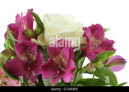 Blumenstrauß lila Alstroemeria und weißen Rosen isoliert auf weißem Hintergrund Stockfoto