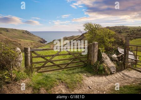 Blick auf einen Hof in Richtung steigen Mill Cove, Devon, England. Stockfoto