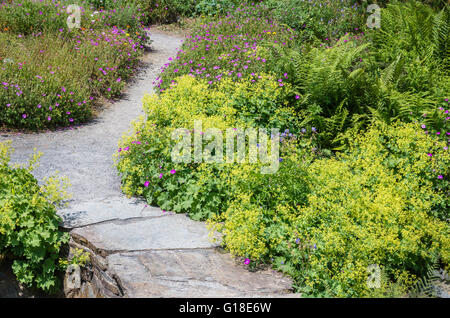 Ein Wanderweg führt durch eine naturalistische Wildblumen Garten in Buckland Monachorum Yelverton Devon Stockfoto