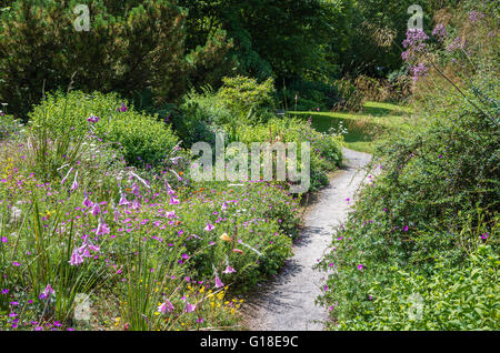 Ein Wanderweg führt durch eine naturalistische Wildblumen Garten in Buckland Monachorum Yelverton Devon Stockfoto