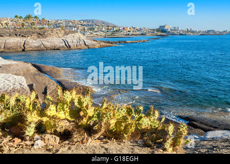 Costa Adeje. Teneriffa. Kanarische Inseln Stockfoto