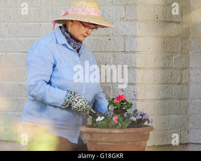 Reife Frau im Garten, sie Blumen Pflanzen Stockfoto