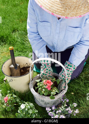 Reife Frau im Garten, sie Blumen Pflanzen Stockfoto