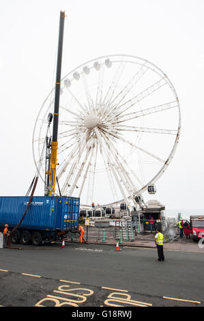 Brighton, UK. 11. Mai 2016. Das Brighton-Rad, ein 45m Durchmesser Riesenrad Attraktion auf Brighton Seafront, hat dauerhaft geschlossen und wird nach fast 5 Jahren demontiert. Das Rad-Operator, Paramount Attraktionen, wollte ihre temporäre Baugenehmigung um weitere fünf Jahre zu verlängern, aber es wurde von Brighton & Hove Rat abgelehnt. Die Schließung am Sonntag 8. Mai macht den Weg für die neuen i360 Turm, der diesen Sommer öffnet. Bildnachweis: Francesca Moore/Alamy Live-Nachrichten Stockfoto