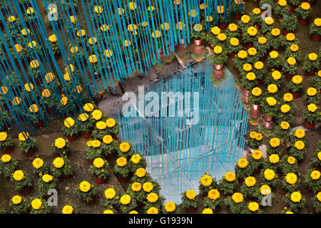 Girona Blumenfest 2016, Temps de Flors, Katalonien, Spanien Stockfoto