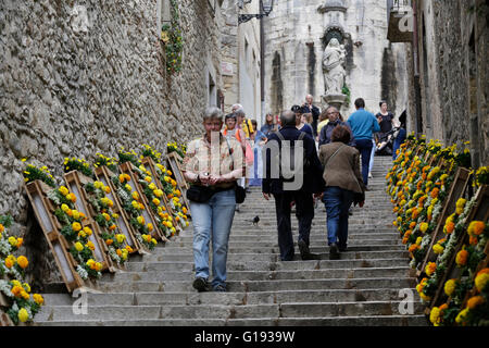 Girona Blumenfest 2016, Temps de Flors, Katalonien, Spanien Stockfoto