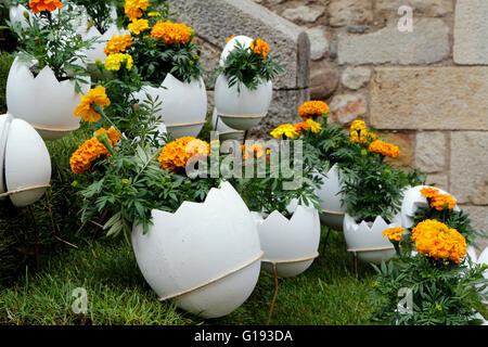 Girona Blumenfest 2016, Temps de Flors, Katalonien, Spanien Stockfoto